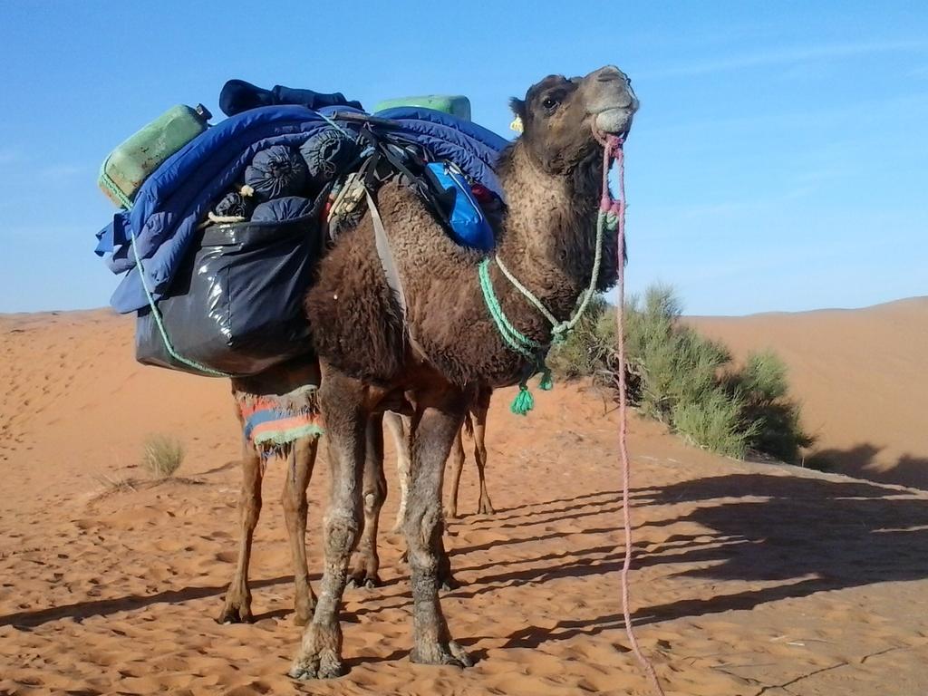 Bivouac Erg Znaigui Hotel Merzouga Eksteriør billede