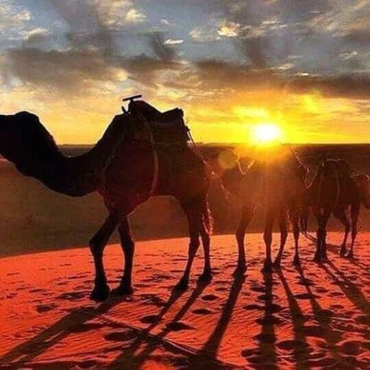 Bivouac Erg Znaigui Hotel Merzouga Eksteriør billede
